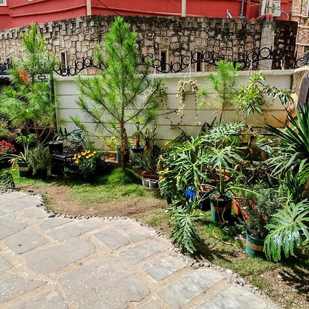 Wasabi House - Homestay Ben Cho Da Lat Buitenkant foto