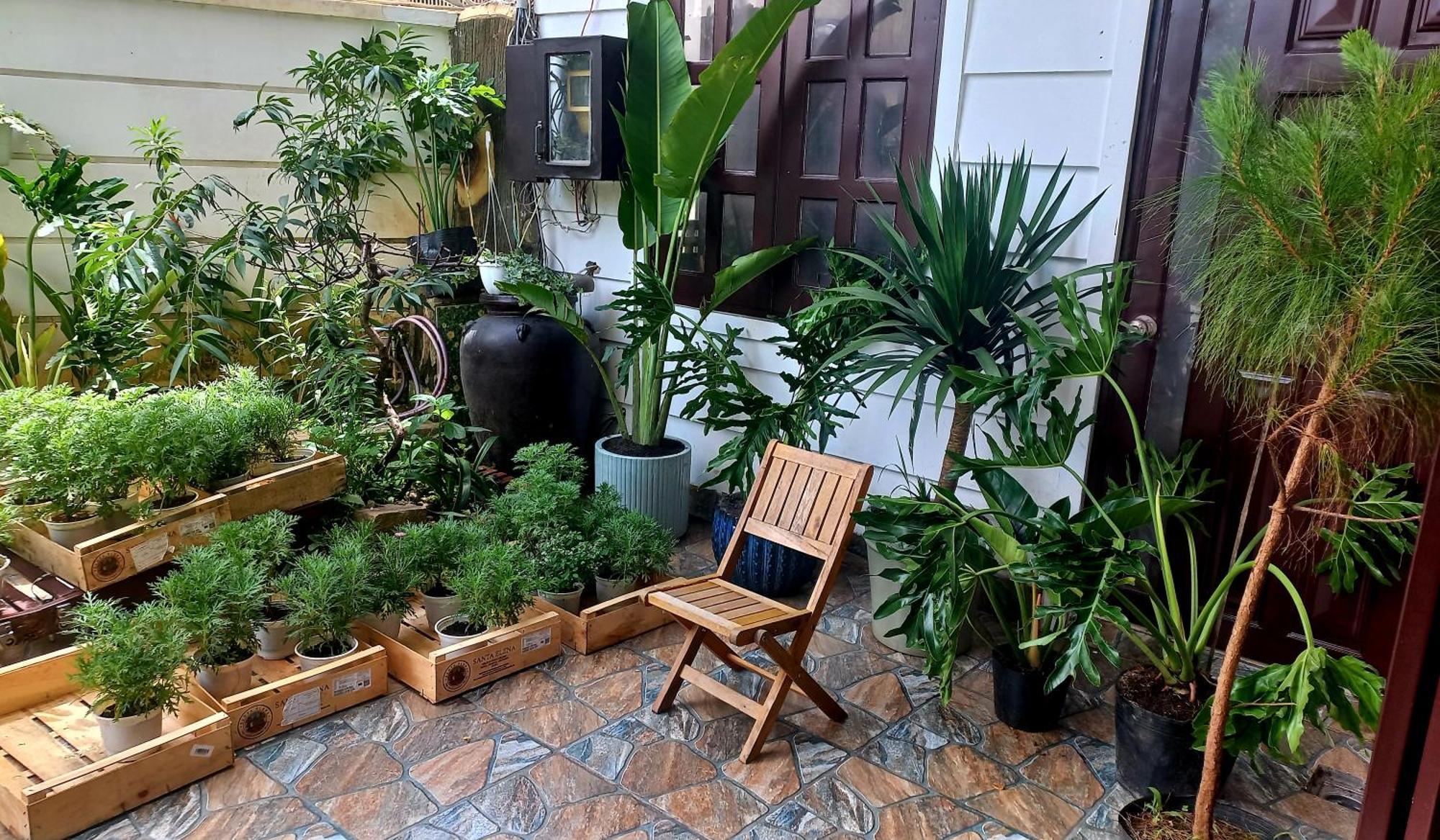 Wasabi House - Homestay Ben Cho Da Lat Buitenkant foto