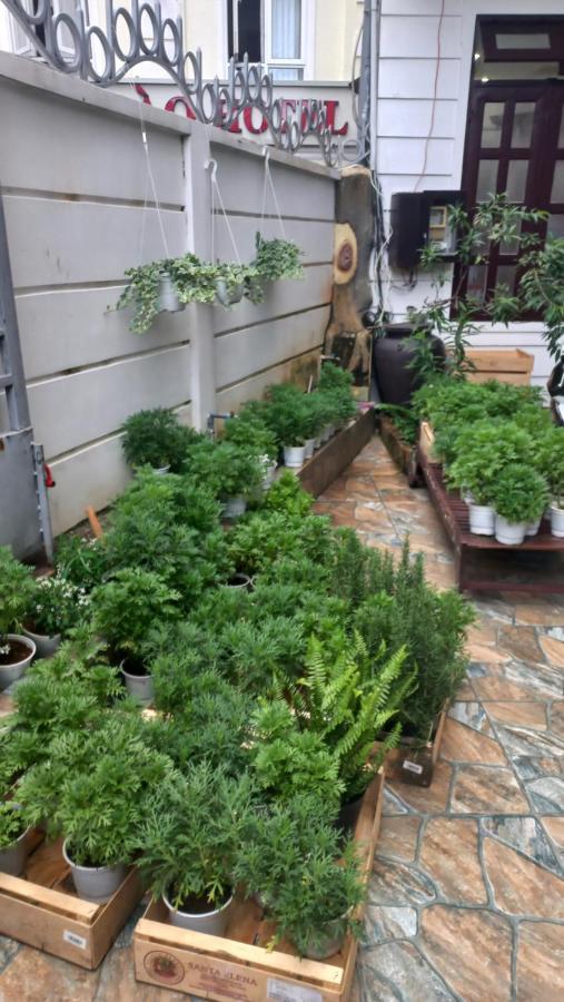 Wasabi House - Homestay Ben Cho Da Lat Buitenkant foto