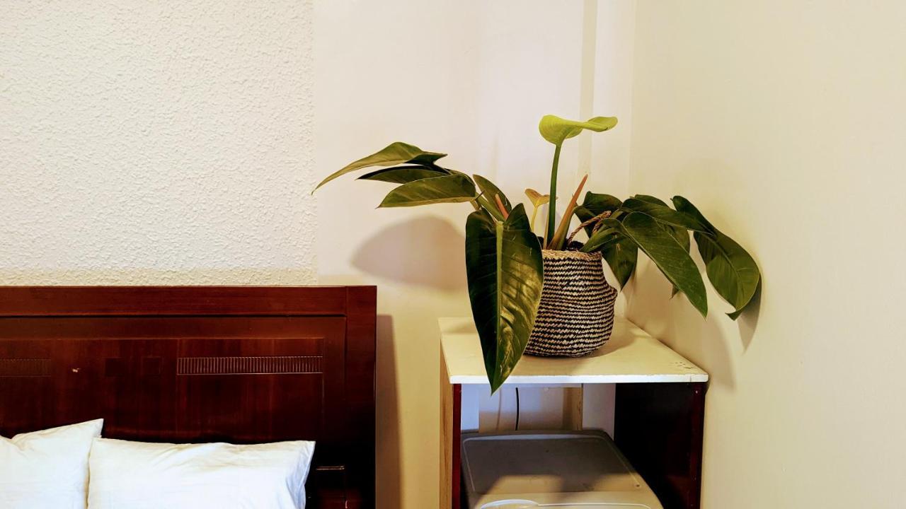 Wasabi House - Homestay Ben Cho Da Lat Buitenkant foto