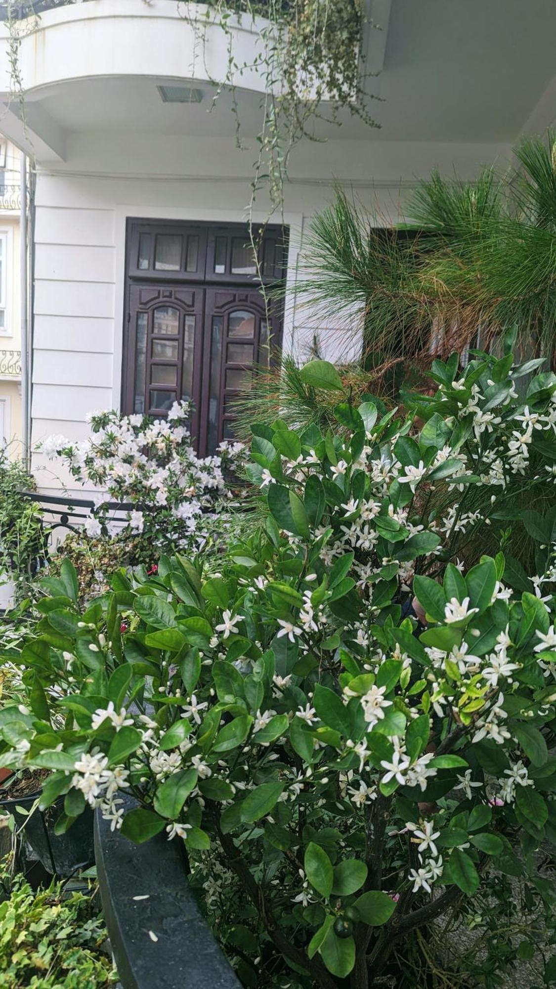 Wasabi House - Homestay Ben Cho Da Lat Buitenkant foto